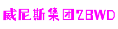 浙江省温州市威尼斯集团28WD网络技术有限公司